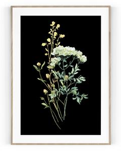 Plakát / Obraz Flowers 50 x 70 cm Pololesklý saténový papír