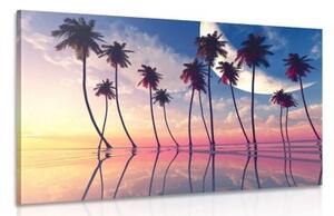 Obraz západ slunce nad tropickými palmami - 60x40 cm