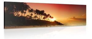 Obraz západ slunce na Srí Lance - 120x40 cm