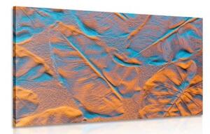 Obraz textura listů na písečné pláži - 120x80 cm