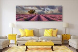 Obraz země levandulových polí - 150x50 cm