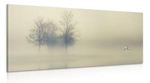 Obraz stromy v mlze - 100x50 cm