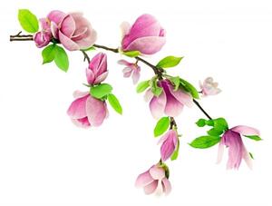 Samolepky na zeď DS 410-10, rozměr 87 cm x 110 cm, květy na větvi růžové, IMPOL TRADE