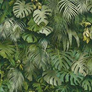 Vliesové tapety na zeď Greenery 37280-2, rozměr 10,05 m x 0,53 m, palmové listy a listy Monstera zelené, A.S. Création