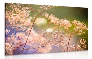 Obraz zátiší z květů - 60x40 cm