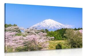 Obraz sopka Fuji - 120x80 cm