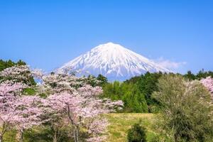 Obraz sopka Fuji - 60x40 cm