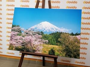 Obraz sopka Fuji - 60x40 cm
