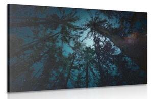 Obraz noc v lese - 60x40 cm