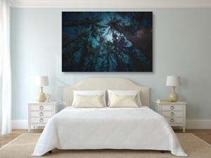 Obraz noc v lese - 60x40 cm