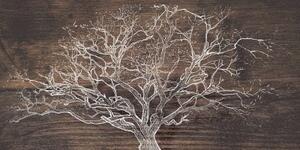 Obraz strom na dřevěném podkladu - 100x50 cm