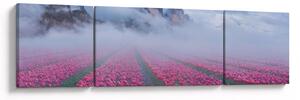 Obraz - Krajina s tulipánovými poli (170x50 cm)
