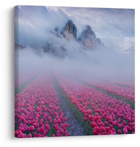 Obraz - Krajina s tulipánovými poli (30x30 cm)