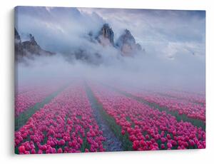 Obraz - Krajina s tulipánovými poli (70x50 cm)