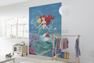 Fototapety Disney Malá mořská víla, rozměr 184 cm x 254 cm, Ariel zpívá, Komar 4-4020