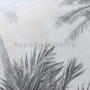 Vliesové tapety na zeď IMPOL Giulia 6788-20, palmy šedo-béžové, rozměr 10,05 m x 0,53 m, NOVAMUR 82206