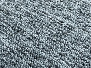 Vopi koberce Kusový koberec Alassio modrošedý kruh - 300x300 (průměr) kruh cm