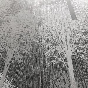 Vliesové tapety na zeď IMPOL Giulia 6786-10, stromy světle šedé na tmavě šedém podkladu, rozměr 10,05 m x 0,53 m, NOVAMUR 82198