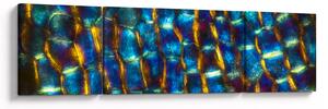 Obraz - Buněčná stěna (170x50 cm)
