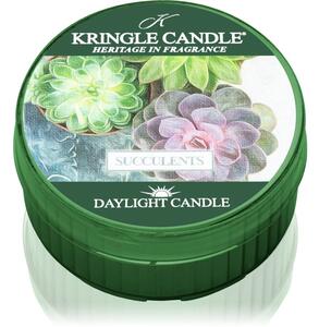 Kringle Candle Succulents čajová svíčka 42 g