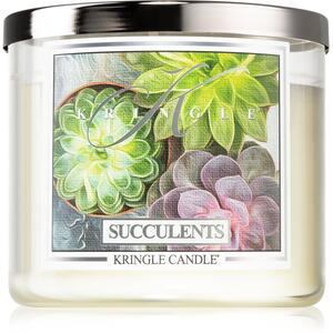 Kringle Candle Succulents vonná svíčka 397 g