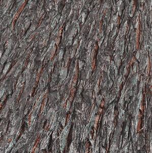 Vliesové tapety na zeď IMPOL Paradisio 2 10124-11, kůra stromu černo-hnědá, rozměr 10,05 m x 0,53 m, Erismann