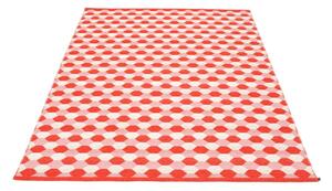 Červený vnitřní a venkovní koberec 180x275 cm Dana Coral – Pappelina