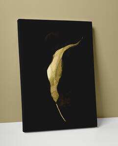 Plakát / Obraz Gold Napnuté plátno na dřevěném rámu 40 x 50 cm