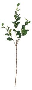 Umělý eukalyptus (výška 110 cm) Eucalyptus – Bloomingville