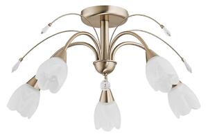Stropní svítidlo BASTER 5xE14/10W/230V zlatá