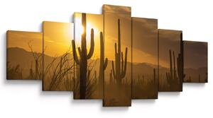 Obraz - Kaktusy Saguaro (210x100 cm)