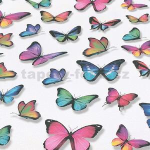 Papírové tapety na zeď Papillon 30000-17, rozměr 10,05 m x 0,53 cm, motýli barevní, Erismann