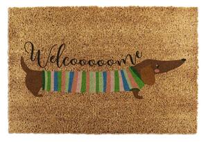 Rohožka z kokosového vlákna 40x60 cm Welcome Sausage Dog – Artsy Doormats