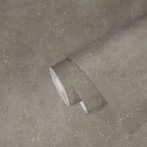 Vliesové tapety na zeď Titanium 3 38595-3, rozměr 10,05 m x 0,53 m, beton hnědý s niklovou patinou, A.S. CRÉATION