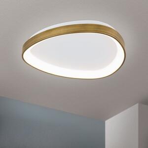 Orion DL7-696/45 Stropní hliníkové LED svítidlo CHARLIE PATINA průměr 45cm