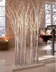 Pureday Interiérová LED dekorace „Březový les“ (100328671)