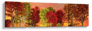 Obraz - Barevné stromy (170x50 cm)