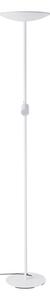 Eglo 901978 - LED Stm. stojací lampa CONIVARINO LED/26,5W/230V +LED/4W bílá