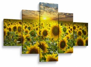 Obraz - Slunečnice při západu slunce (125x70 cm)