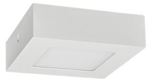 LED Stropní svítidlo FENIX LED/6W/230V 2800K 12 cm