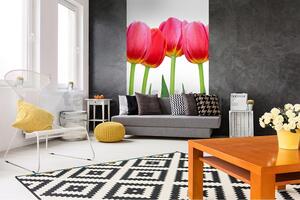 Vliesové fototapety, rozměr 150 cm x 250 cm, tulipány, DIMEX MS-2-0126