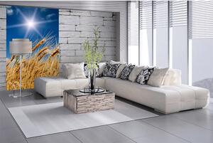 Vliesové fototapety, rozměr 150 cm x 250 cm, pšeničné pole, DIMEX MS-2-0136