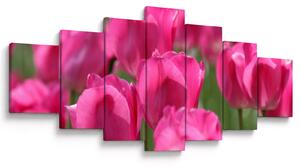 Obraz - Růžové tulipány (210x100 cm)