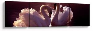 Obraz - Labutě na jezeře (170x50 cm)
