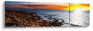 Obraz - Racek letící nad pobrežím (170x50 cm)