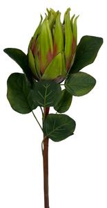 Protea - umělá květina zelená 68cm