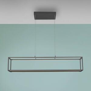 Paul Neuhaus LED závěsné světlo Conni, černá, 130 cm,, stmívatelný, Černá, Obývací pokoj / jídelna, Hliník, Moderní