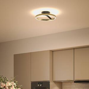 Paulmann LED stropní svítidlo Melira, černá/zlatá, Ø 38 cm, kov, stmívatelný, Černá, Obývací pokoj / jídelna, kov, Moderní