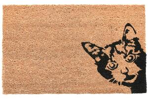 Venkovní rohožka Kitty, 60x40 cm
