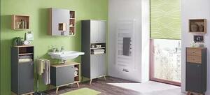 German Koupelnová skříňka 65 x 33 x 60 cm / dřevotříska / kov / 2 police / výřez na sifon / světlý dub/antracitová